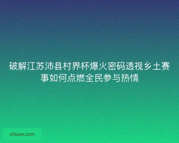 破解江苏沛县村界杯爆火密码透视乡土赛事如何点燃全民参与热情